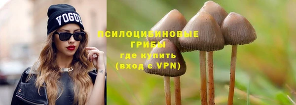 стафф Магас