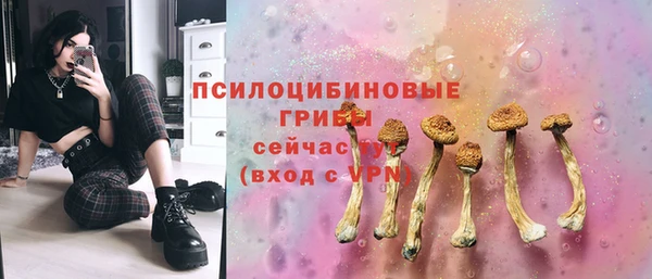 амф Медногорск