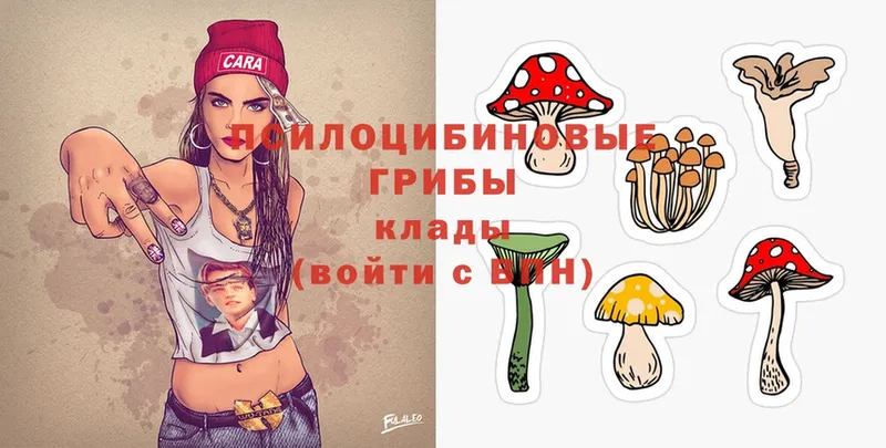 закладка  ОМГ ОМГ tor  Псилоцибиновые грибы Magic Shrooms  Любим 